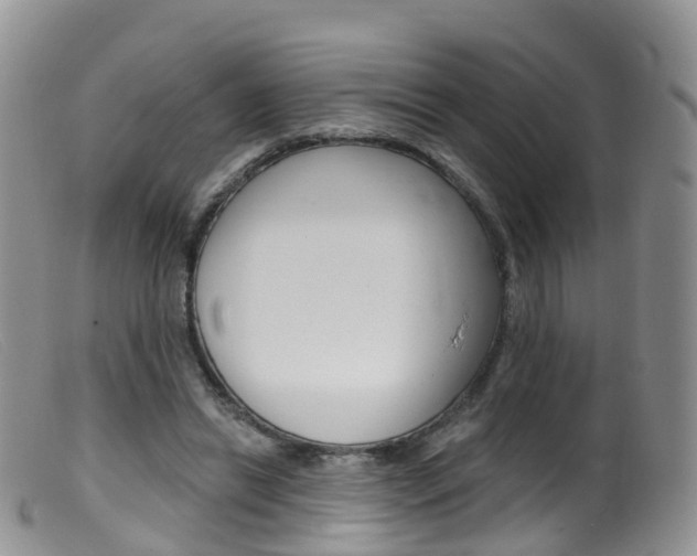 X0000099540446200805160752