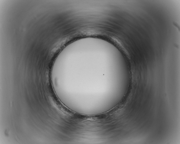 X0000099540447200805160752