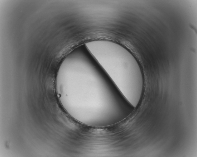 X0000099540449200805160752