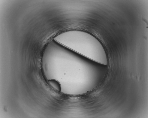 X0000099540450200805160752