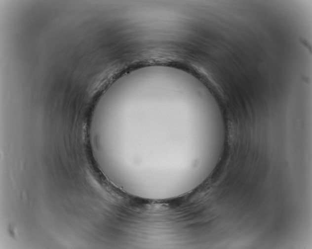 X0000099540451200805160752