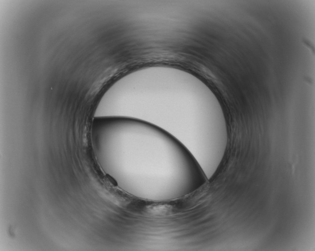 X0000099540452200805160752