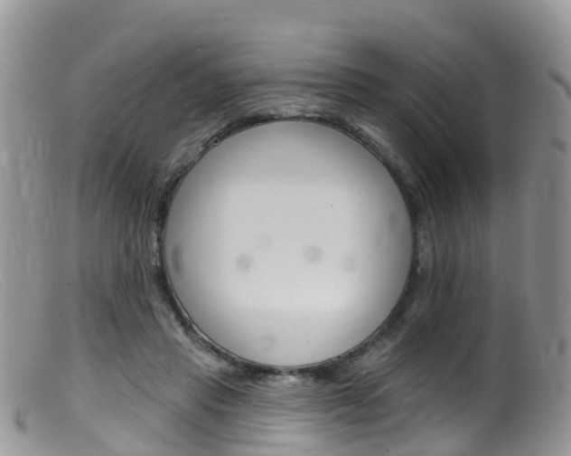 X0000099540453200805160752