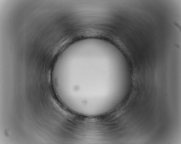 X0000099540454200805160752