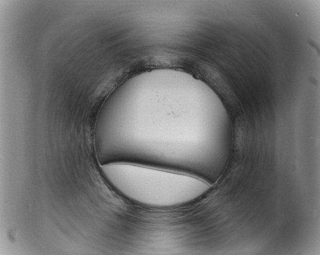 X0000099540457200805160753