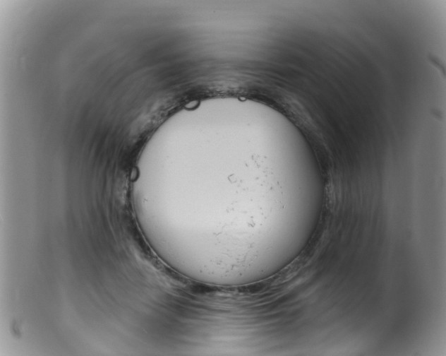 X0000099540458200805160753