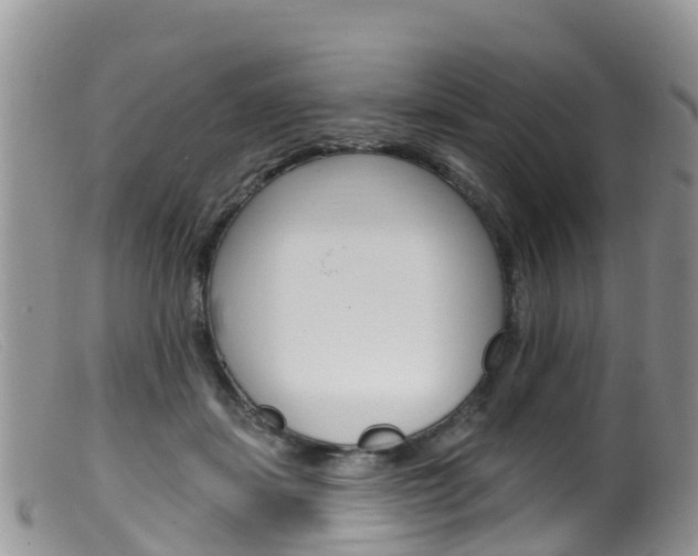 X0000099540459200805160753