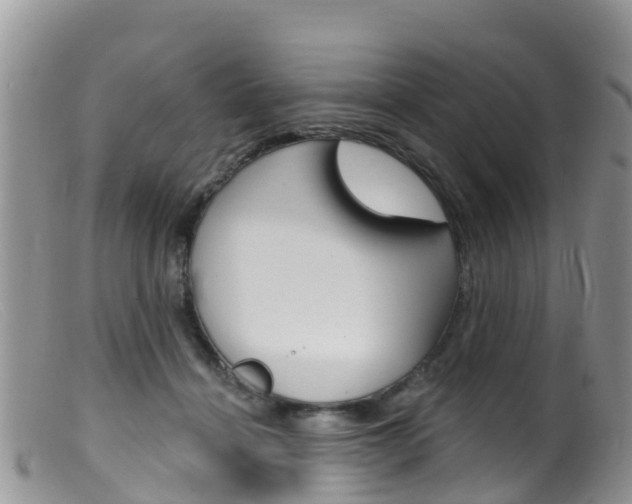 X0000099540460200805160753