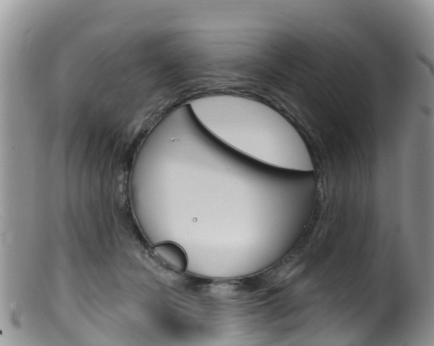 X0000099540462200805160753