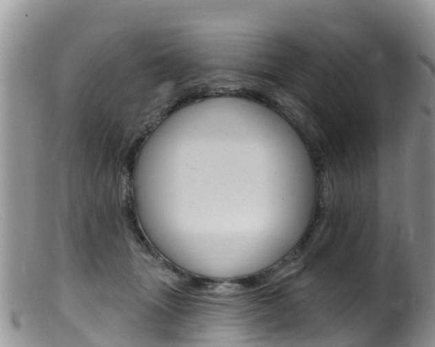 X0000099540463200805160753