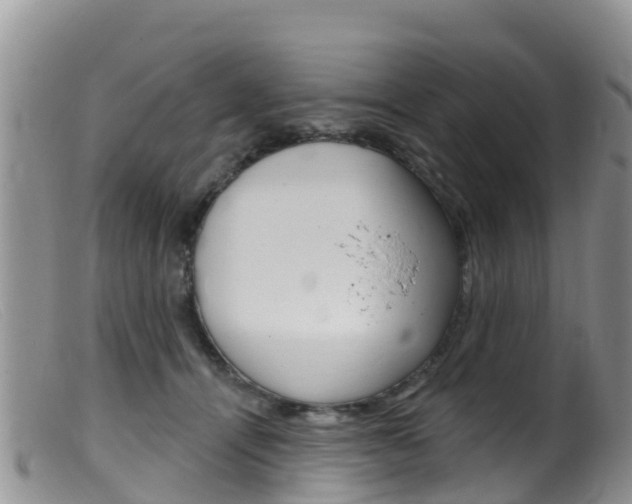X0000099540464200805160753