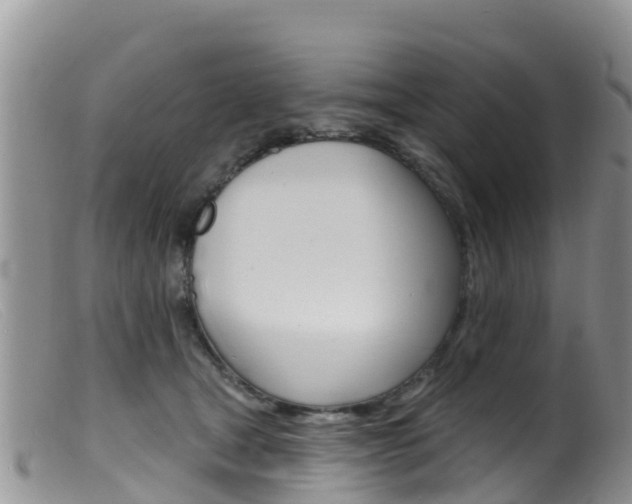 X0000099540465200805160753