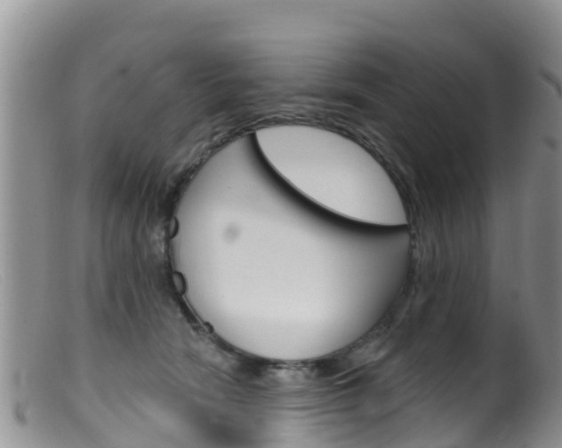 X0000099540466200805160753