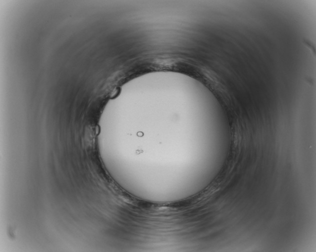 X0000099540467200805160753