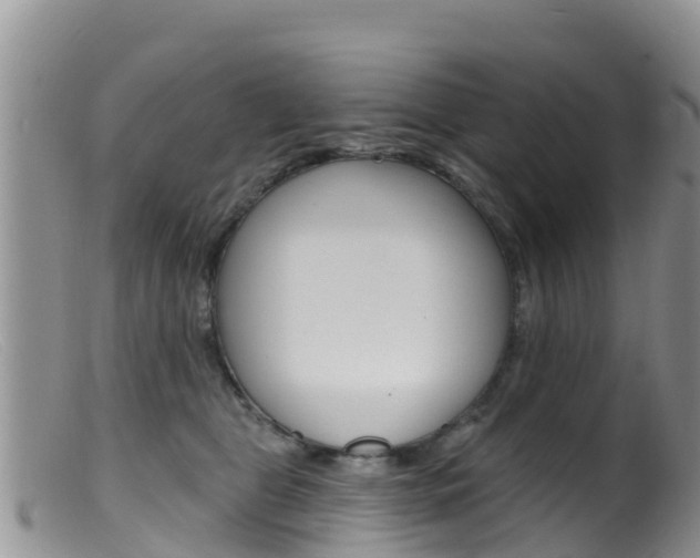 X0000099540469200805160753