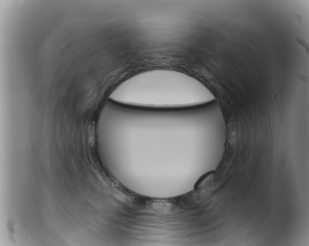 X0000099540471200805160753