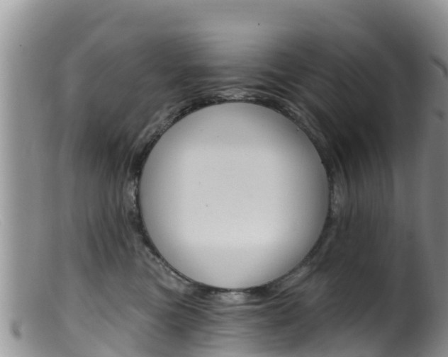 X0000099540473200805160753