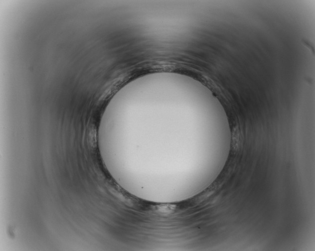 X0000099540474200805160753