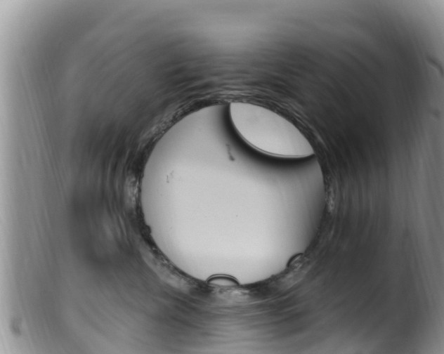 X0000099540476200805160753