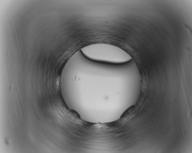 X0000099540477200805160753