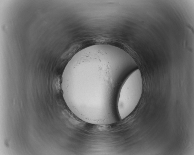 X0000099540479200805160753