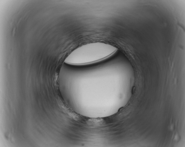 X0000099540480200805160753