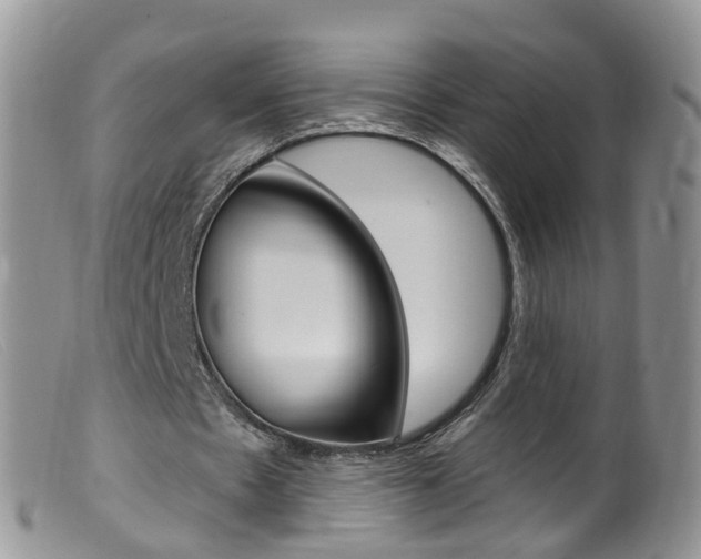 X0000099540481200805160752