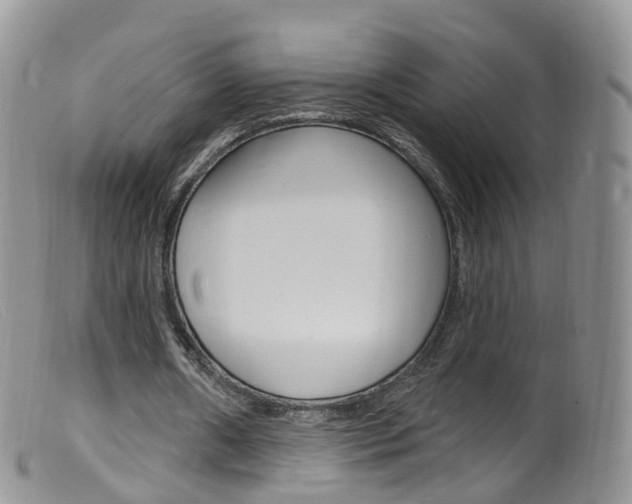 X0000099540482200805160752