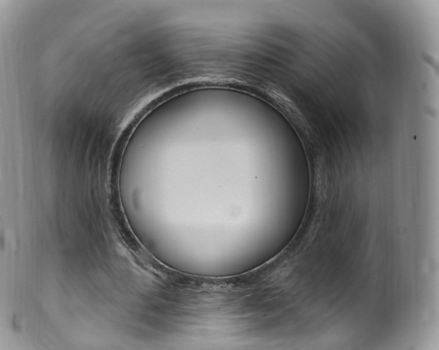 X0000099540484200805160752