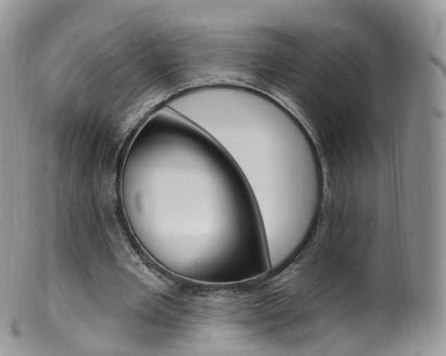 X0000099540485200805160752