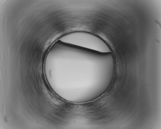 X0000099540486200805160752