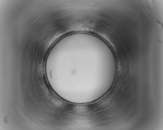 X0000099540487200805160752