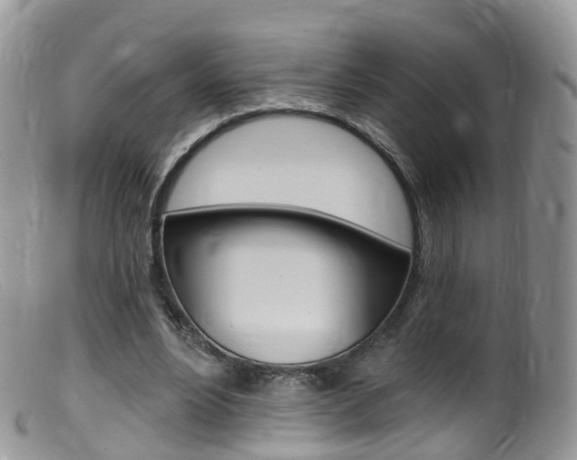 X0000099540488200805160752