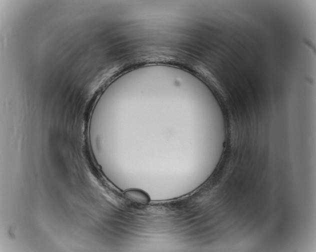 X0000099540490200805160752