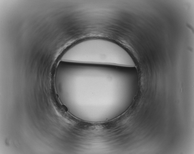 X0000099540492200805160752