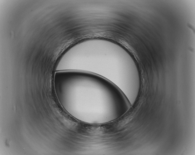 X0000099540493200805160752