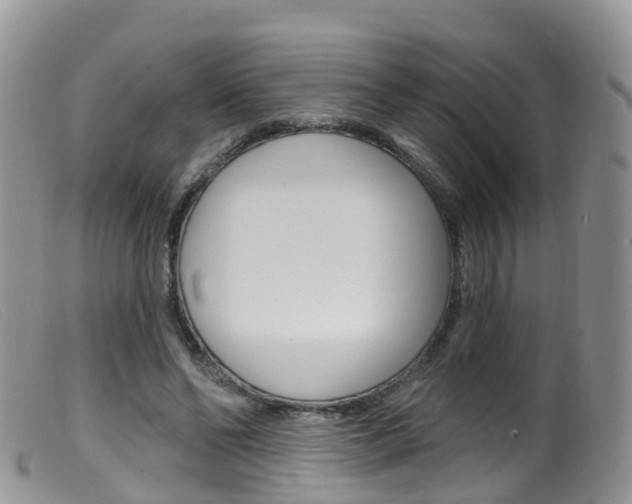 X0000099540494200805160752
