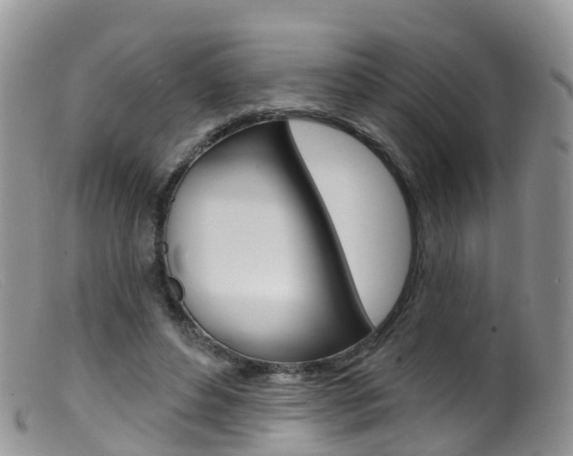 X0000099540496200805160752