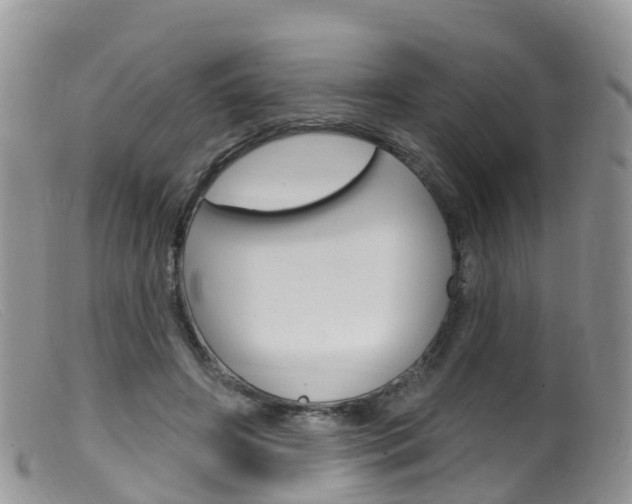 X0000099540498200805160752