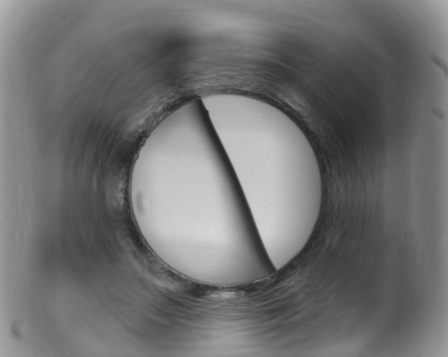 X0000099540499200805160752
