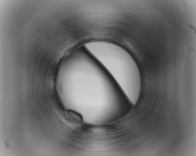 X0000099540500200805160752