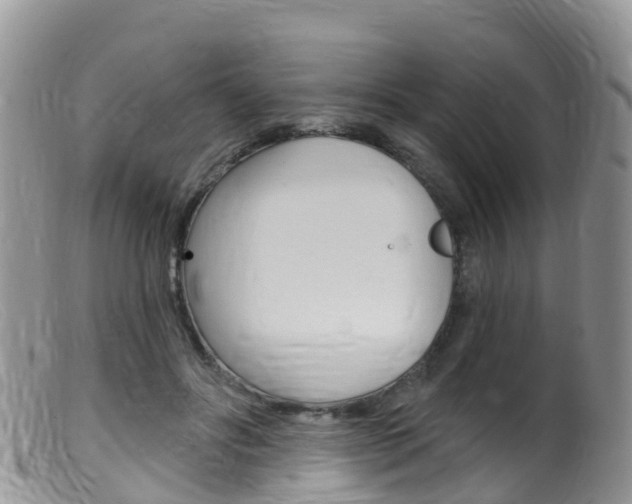 X0000099540502200805160752