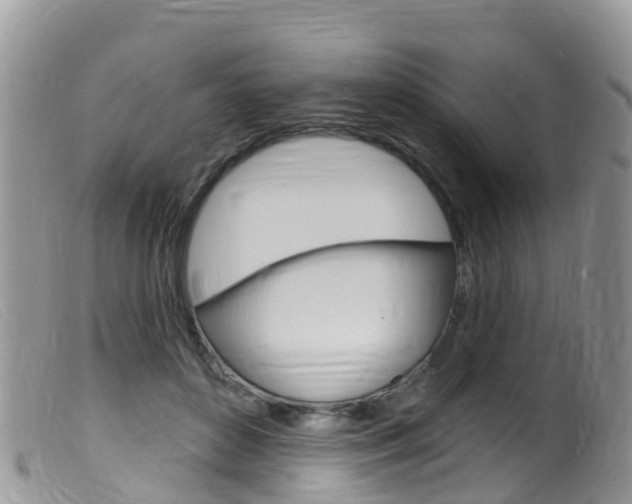 X0000099540504200805160752