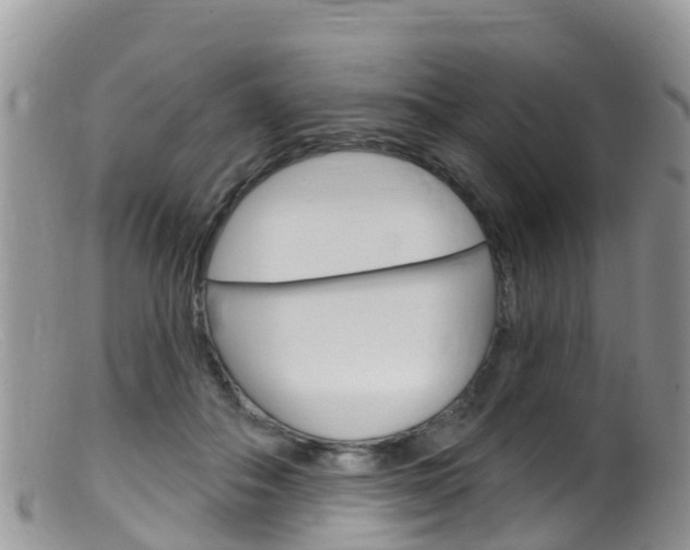X0000099540506200805160752