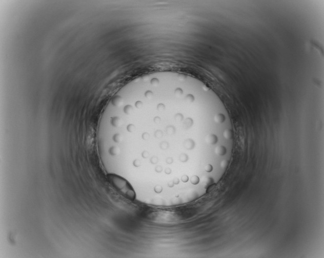X0000099540507200805160752