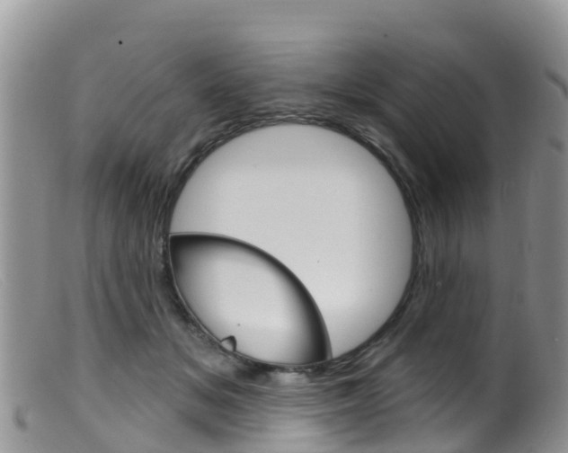 X0000099540509200805160752