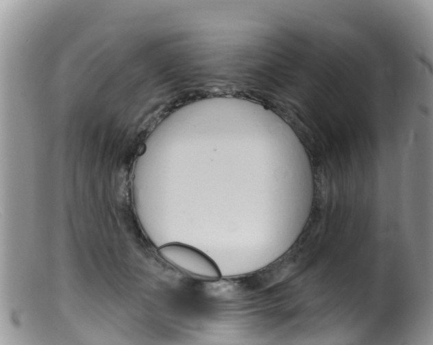X0000099540511200805160752