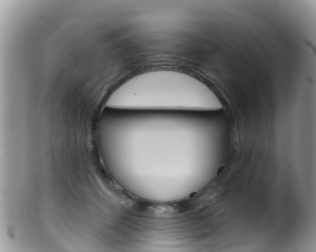 X0000099540512200805160752