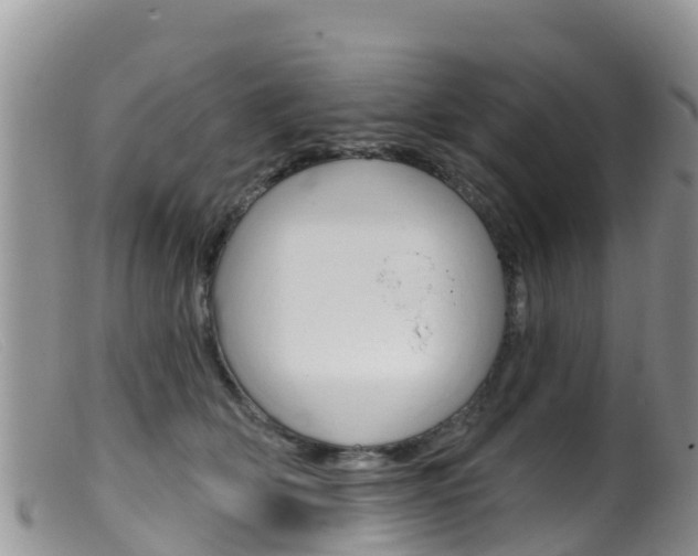 X0000099540514200805160752