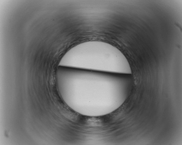X0000099540515200805160752